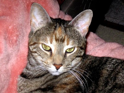 Guest review image 4 of 4, zoom in