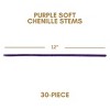 Floral Home 12" Purple Soft Chenille Stems - 30-Piece - 2 of 2