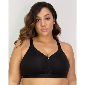 City Chic Plus Size S&C T-Shirt Bra BLK in C Black, Size 18 at