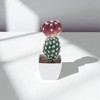 Unique Bargains Artificial Plants Mushroom-Top Cactus in Pot Plastic 3.03"x3.03"x7.87" 1 Pcs - 2 of 4