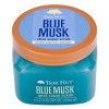 Tree Hut Shea Sugar Body Scrub - Blue Musk - 18oz - 3 of 4