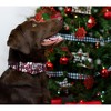 Country Brook Petz Martingale Dog Collar - Christmas Collection - 2 of 4