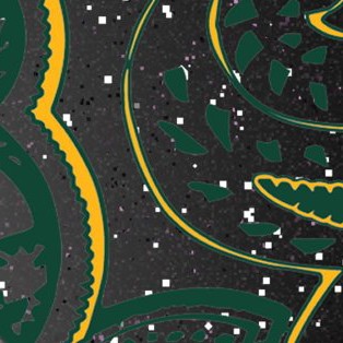 baylor bears