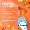 Febreze Odor-Fighting Air Freshener - Hawaiian Aloha - 8.8oz/2pk - 3 of 4