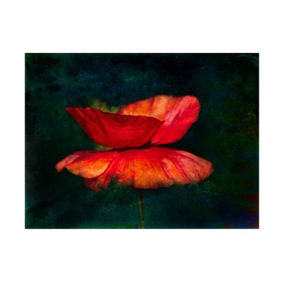 Trademark Fine Art - Ulrike Landau  Heart and Soul Canvas Art
