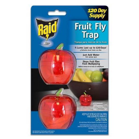 Aunt Fannie's FlyPunch Fruit Fly Trap (Single): for Indoor and Kitchen Use  – Made with Plant Based Ingredients