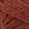 Lion Brand Hue & Me Yarn - 2 of 4