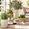 Floret Silver Black Steel Personalized Outdoor Planter Stand by JasonW  Studios