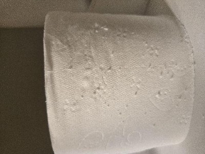 Guest review image 1 of 1, zoom in