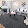 Whizmax Area Rug5¡¯x8¡¯ Indoor Small Area Rug Non-Slip Non-Shedding Tufted Area Rug for Bedroom Living Room Kitchen, 11x15 Feet - 2 of 4