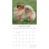 2026 Square Wall Calendar, Pomeranian, 16-Month Animals Theme with 180 Reminder Stickers (12x12 In) - 3 of 4
