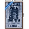 Trends International The Wizarding World: Harry Potter - Undesirable Framed Wall Poster Prints - 3 of 4