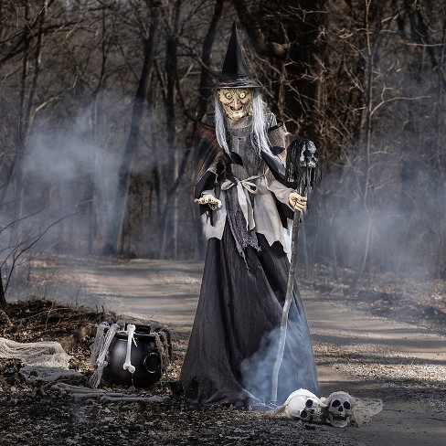 Seasonal Visions Animated Lunging Haggard Witch Halloween ...