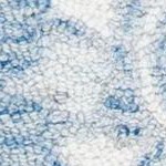 blue/ivory