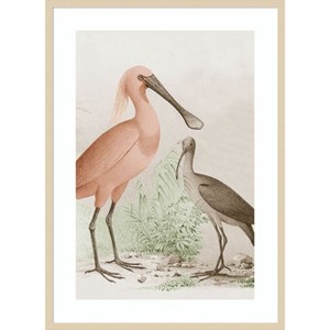 Amanti Art Antique Chroma Waterbirds II by  Wood Framed Wall Art Print - 1 of 4