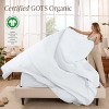 300 Thread Count Organic Cotton Percale Bed Sheet Set by Bare Home - 2 of 4