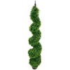 Northlight Potted Two Toned Artificial Spiral Boxwood Garden Topiary Tree - 5' - 4 of 4