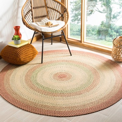 Handmade Multicolor Round Braided Area Rug, 5' Diameter