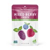 Nature's Turn Freeze-Dried Fruit Snacks - Mixed Berry Crisps -  No Sugar Added, Non GMO, Gluten Free, Nothing Artificial (1.2oz) 6-Pack - 2 of 4