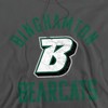 Binghamton University Official Bearcats Logo Adult Pull-Over Hoodie - 2 of 4