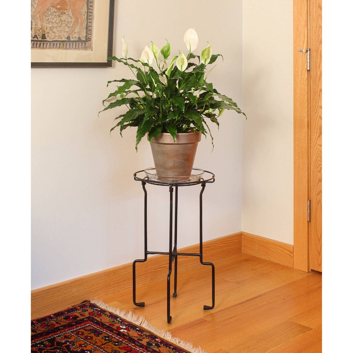 23.5" Plant Stand Catalina Black Wrought Iron with Powder Coated Finish - ACHLA Designs: Freestanding, No Assembly Required - thumbnail 3