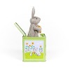 Bunny Jack in the Box - 4 of 4