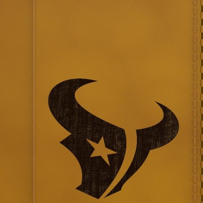 houston texans