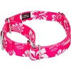 Country Brook Petz Pink Hawaiian Martingale Dog Collar (1 Inch, Medium) - 3 of 4