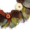 Northlight Pumpkin, Pinecone, and Gourd Artificial Fall Harvest Wreath, 24-Inch, Unlit - 3 of 3