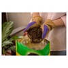 Miracle-Gro Premium Potting Mix 1 Cubic Foot - image 4 of 4