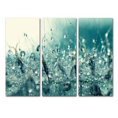 36.5"x48" Beata Czyzowska Young 'Under the Sea' 3 Panel Decorative Wall Art set - Trademark Fine Art