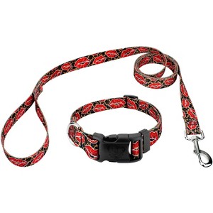Country Brook Petz Deluxe Cheetah Kisses Dog Collar and Leash Limited Edition - 1 of 4