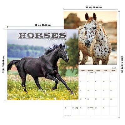 Trends International 2025 Horses Wall Calendar: Daily Planner, 12x12 Inches, Multicolored, All Ages, January-December