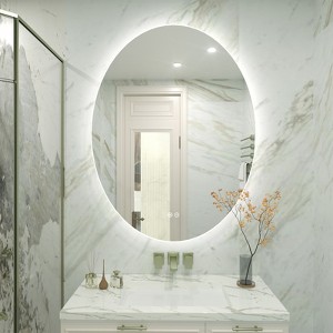 Apmir Super Bright Back LED Lighted Anti-Fog Round/Oval Wall Mirror with Tempered Glass & 3-Year Warranty - 1 of 4