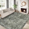 COZONY Washable Distressed Print Non Slip Ultra-Thin Area Rug for Living Room Dining Room - 2 of 4