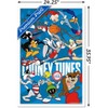 Trends International Looney Tunes x Team USA - Group Framed Wall Poster Prints - 3 of 4