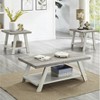 Vynxaria Series 3-Piece Weathered Gray and Beige Rectangular Wood Top End Table with Shelf Storage - 2 of 4