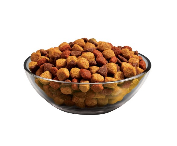Purina Dog Chow Complete Adult Dry Dog Food - 18.5lbs