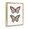 Stupell Industries Butterfly Wings Insect Portrait Black Floater Framed Canvas Wall Art - 3 of 4