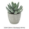 Unique Bargains Artificial Plants Flocked Snow Lotus in Mini Pulp Plastic Green 3.94"x3.94"x4.13" 1 Pcs - 3 of 4