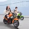 Electric Dirt Bike for Kids: 15MPH, 150lb Max, 24V/300W Motor, 2-Speed, LED Lights, Air Tires - 2 of 4