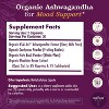 Ladybug Potion No3 Positive Vibes Ashwagandha Capsules, 60 Count - 2 of 4