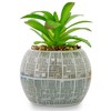 Silver Buffalo Star Wars Death Star 3-Inch Ceramic Mini Planter With Artificial Succulent - 3 of 4
