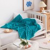 Flannel Fuzzy Toddler Blanket, Fluffy Warm and Lightweight Baby Plush Blanket - NTBAY - 2 of 4