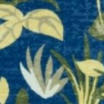 navy/gold