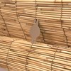Outdoor Cord-Free Natural Rollup Blinds Natural - Radiance - 3 of 3