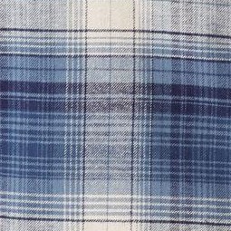 navy plaid