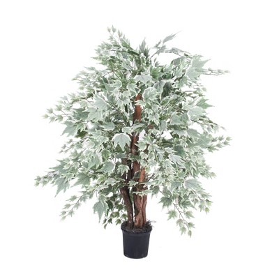 Extra Full Silver Maple Bush in Black Plastic Pot (4ft) - Vickerman