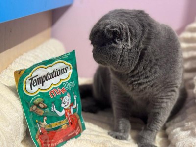 Guest review image 1 of 2, zoom in