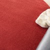 Nourison Essentials Easy Care Indoor Outdoor Area Rug - 4 of 4